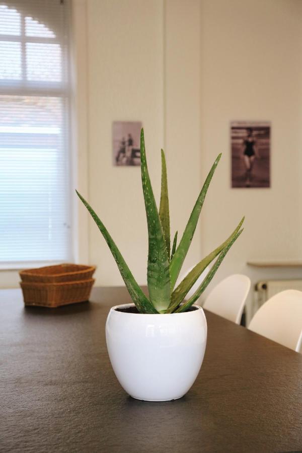 Vakantiewoning Elena *